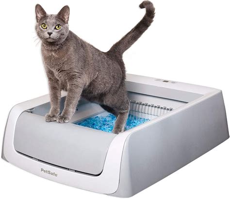 best electric self cleaning litter box|safest self cleaning litter box.